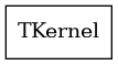 dot_schema_TKernel.png